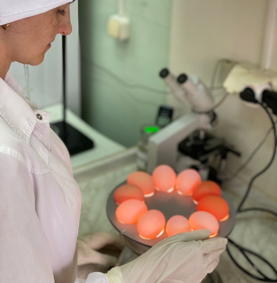 На саратовской ярмарке торговали гнилыми продуктами